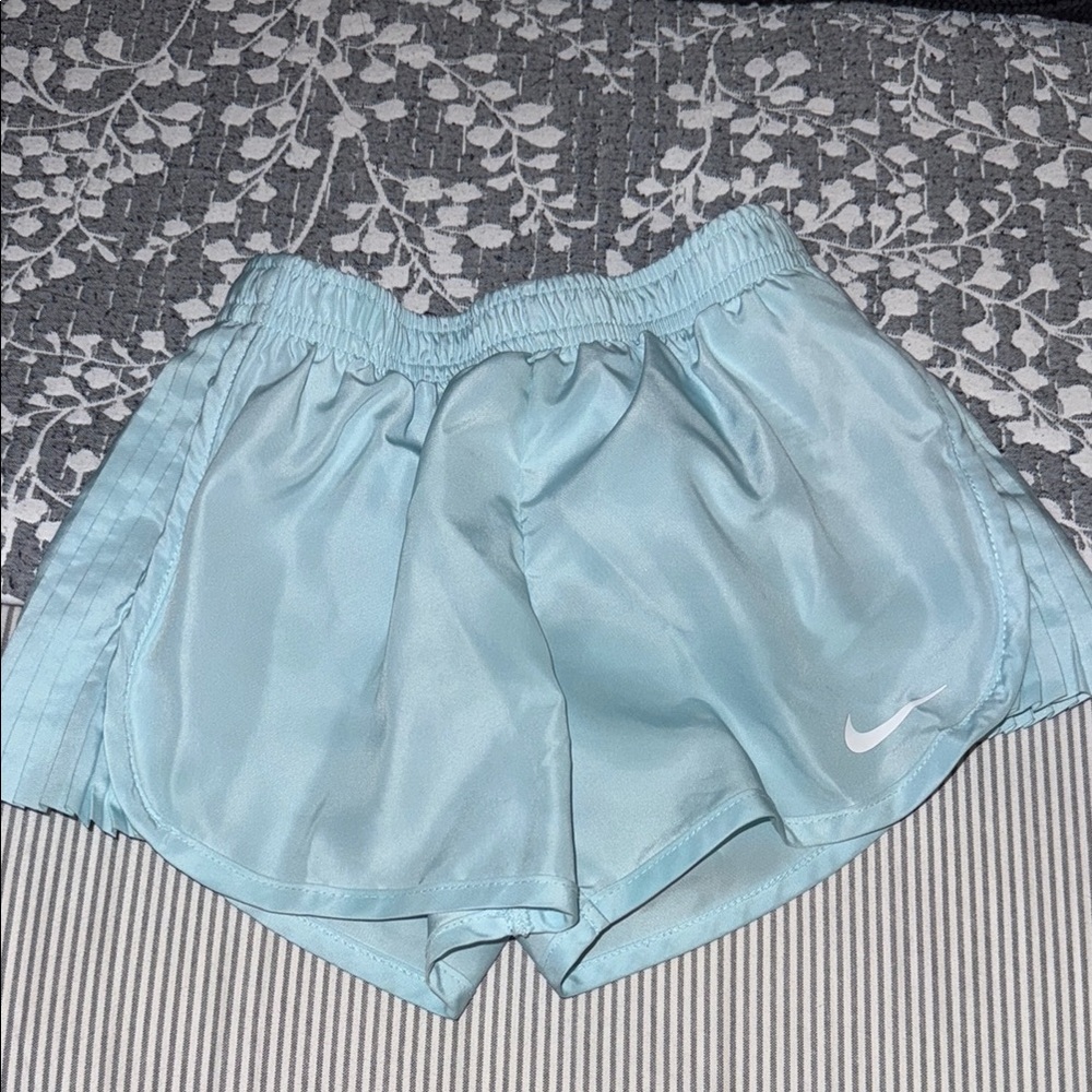 Nike baby blue 3T toddler girl shorts from a pit and smoke free home.